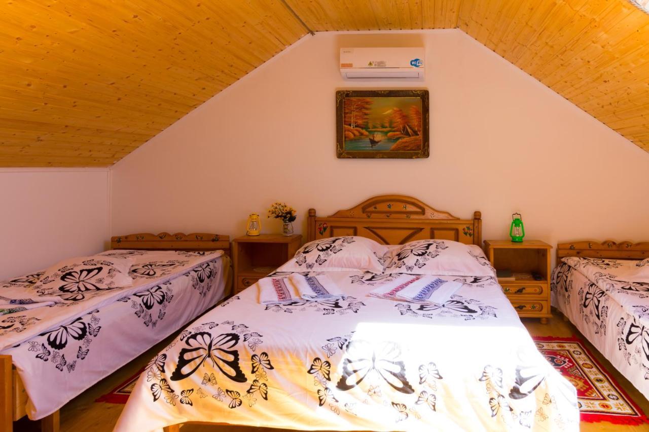 באיה דה פייר Casa De Vacanta Marya מראה חיצוני תמונה