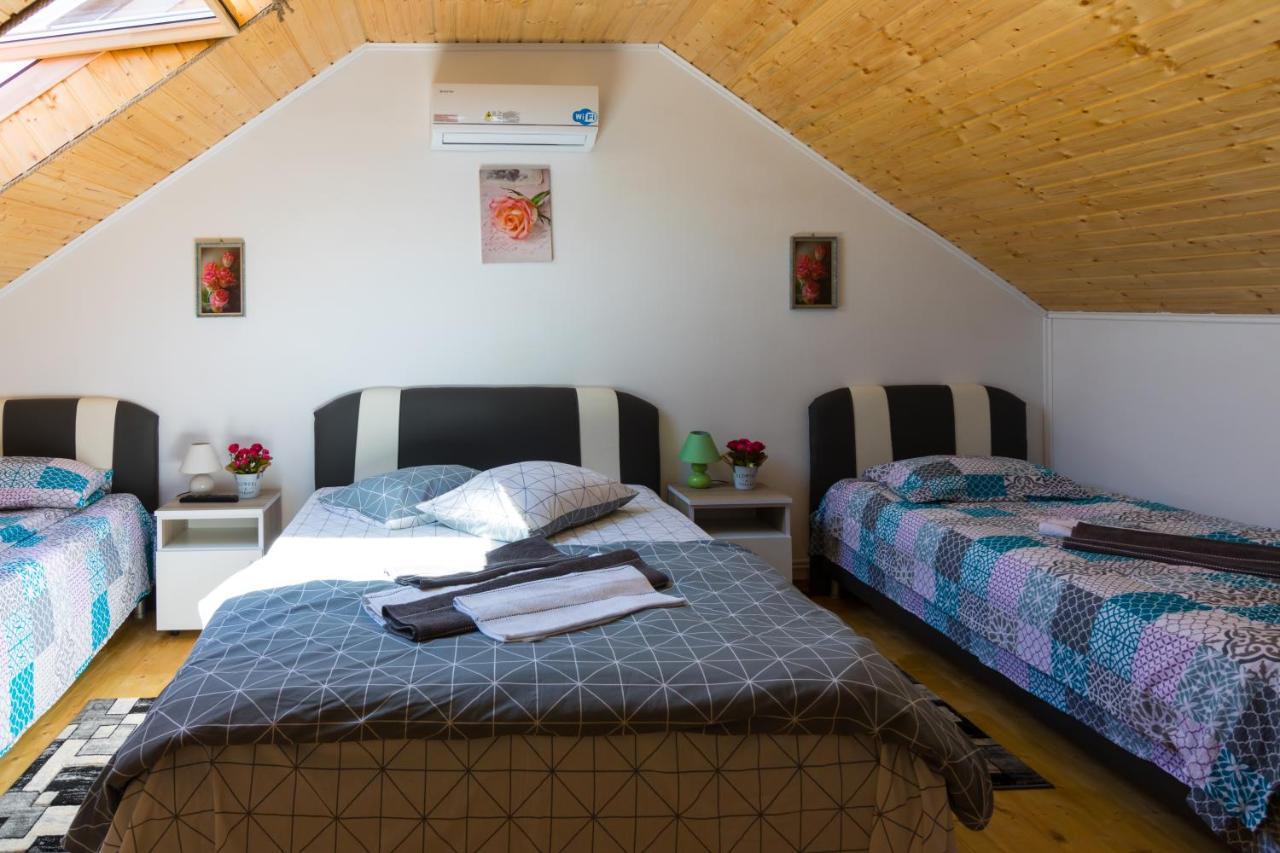 באיה דה פייר Casa De Vacanta Marya מראה חיצוני תמונה