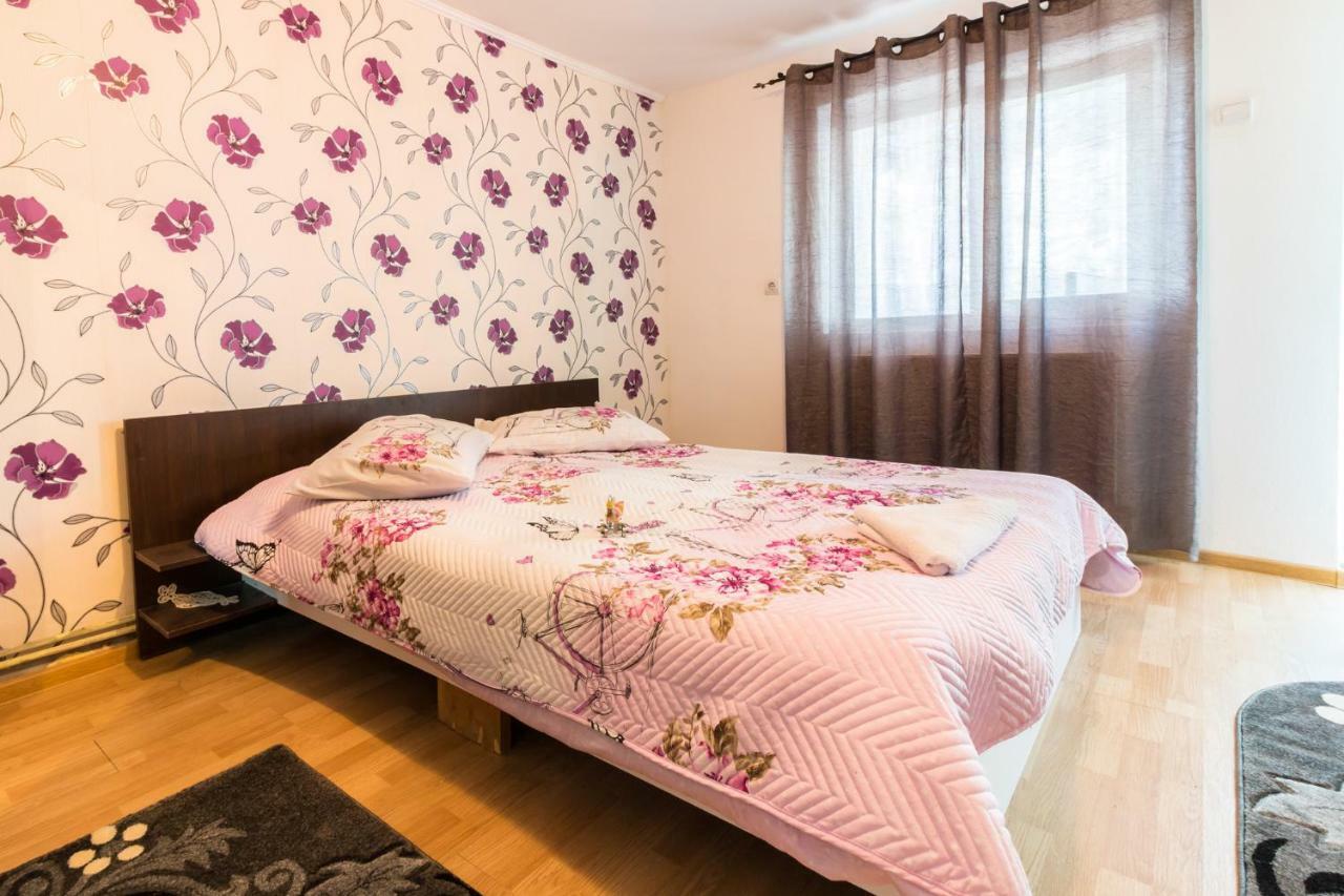 באיה דה פייר Casa De Vacanta Marya מראה חיצוני תמונה