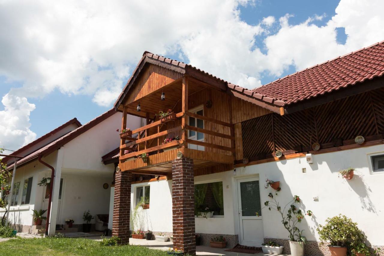 באיה דה פייר Casa De Vacanta Marya מראה חיצוני תמונה